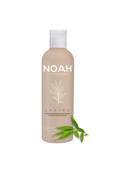 Noah Leaves Shampooing...