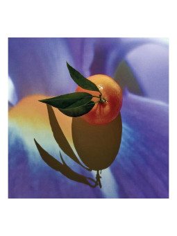 Loewe Solo Elixir Eau de...