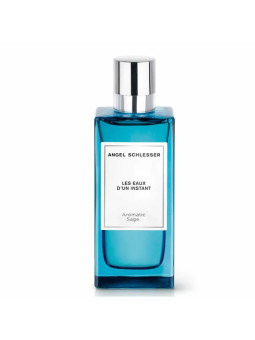 Angel Schlesser Les Eaux...