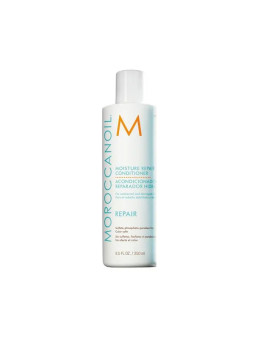 Moroccanoil Repair...