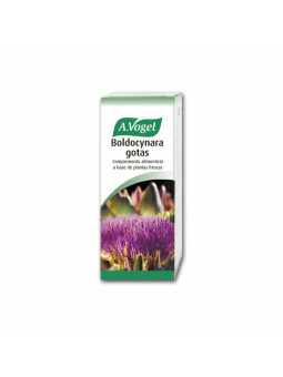 A. Vogel Boldocynara 100ml