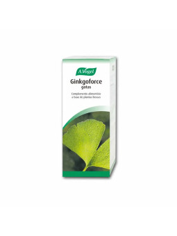 A. Vogel Ginkgoforce 100ml