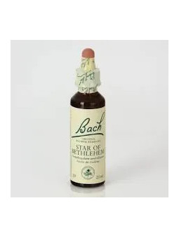 Bach N°29 Star of Bethlehem...