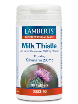 Lamberts Chardon Marie 90...