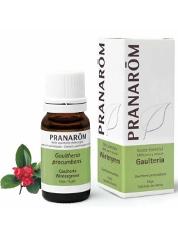 Pranarôm Gaulthérie Couchée...