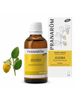 Pranarôm Jojoba (Simmondsia...