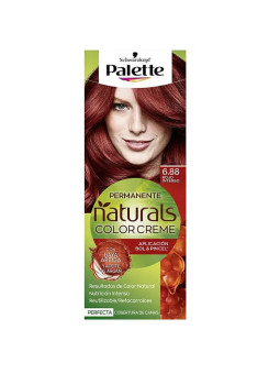 Schwarzkopf Palette...