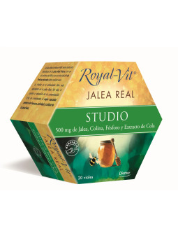 Dietisa Royal Vit Studio 20...