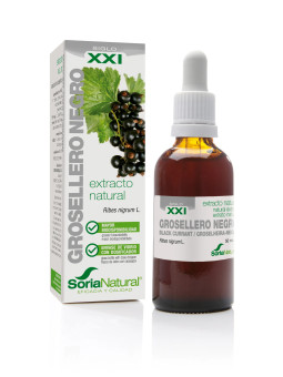 Soria Extracto Grosellero...