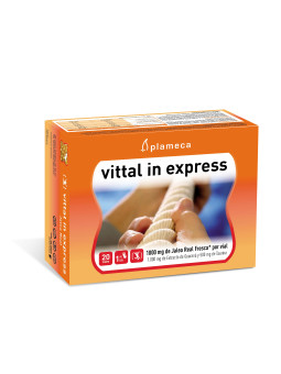 Plameca Vittal In Express