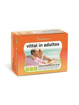 Plameca Vittal In Adultes...