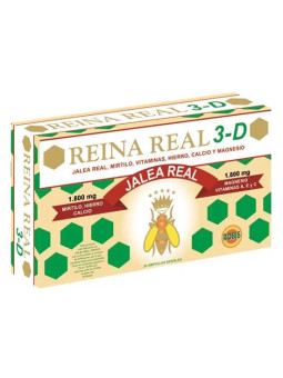 ROBIS Reina Real 3ème Âge...