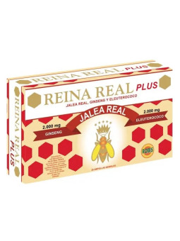 ROBIS Reina Real Plus 20...