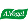 Vogel